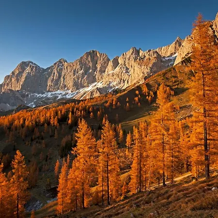 公寓 Greisslerei *