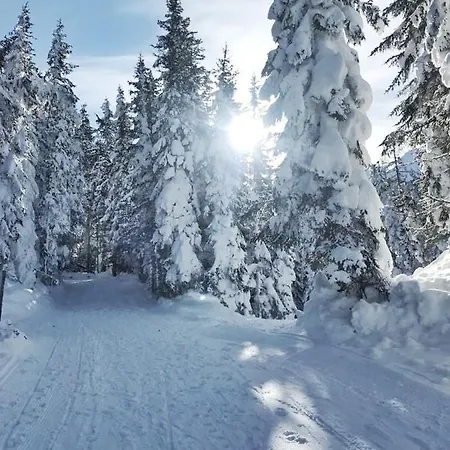 公寓 Greisslerei 艾奇