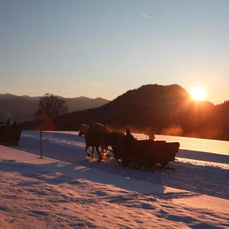 Apartman Greisslerei Aich