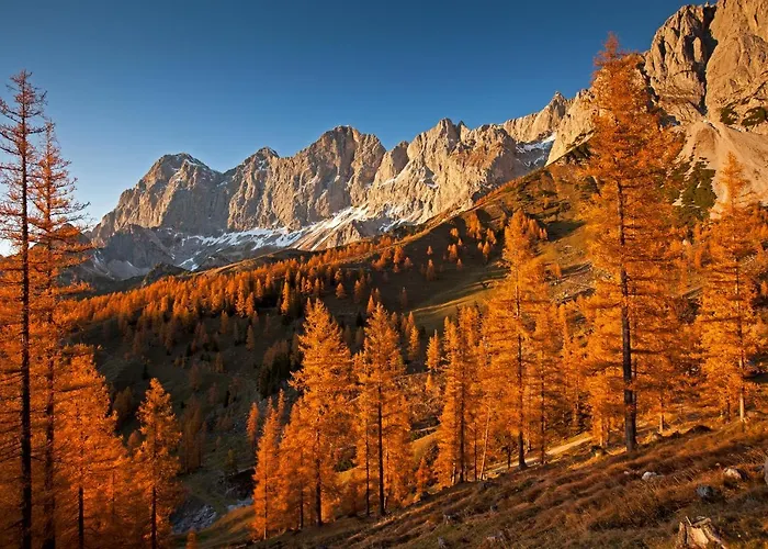 شقة Greisslerei *