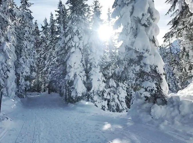 شقة Greisslerei آيش